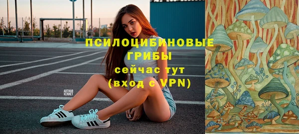 ECSTASY Балабаново