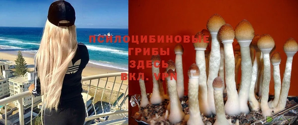 дистиллят марихуана Баксан