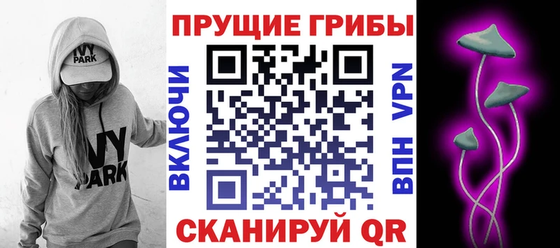 Псилоцибиновые грибы мицелий  ссылка на мегу ССЫЛКА  Володарск  где купить  