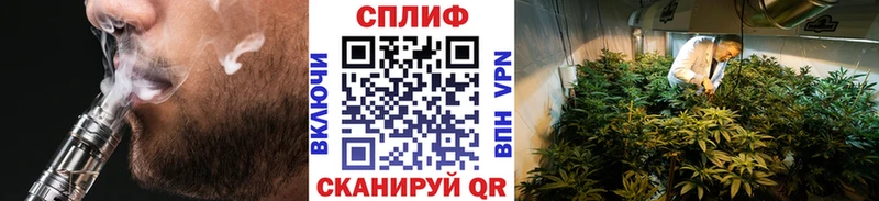 Конопля THC 21%  blacksprut сайт  Володарск 